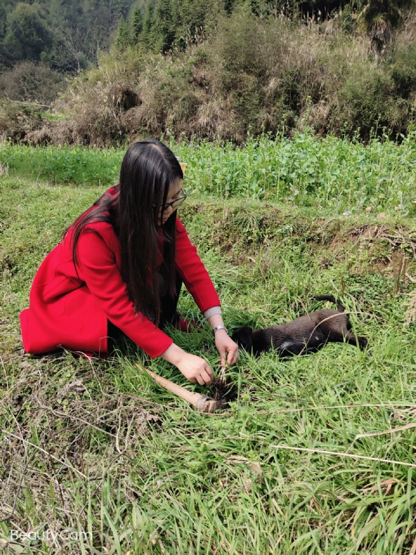 下一个春和秋的第一张照片--湖南交友中心